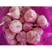 China Cheap Garlic in 10kg/bag or 20kg/bag